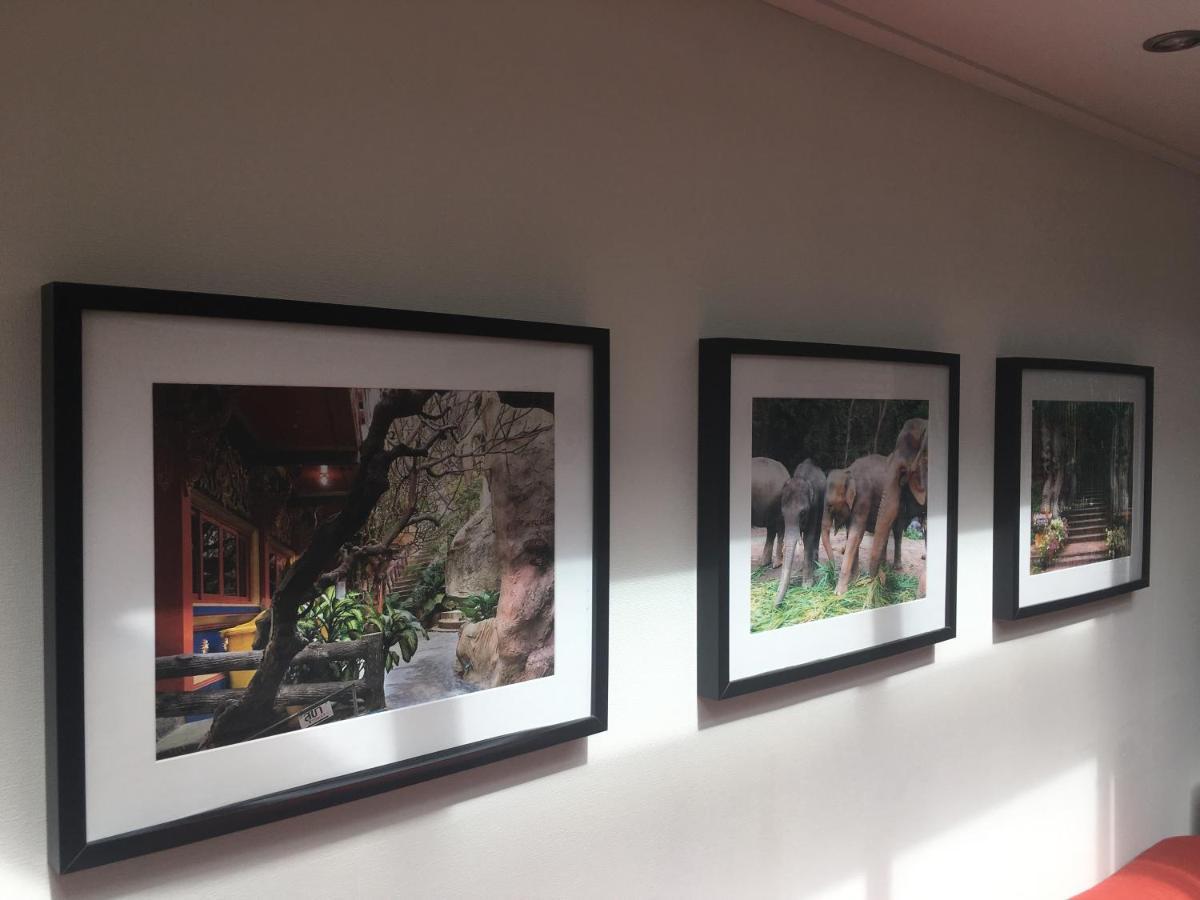 B&B Porcini เออร์เมโล ภายนอก รูปภาพ